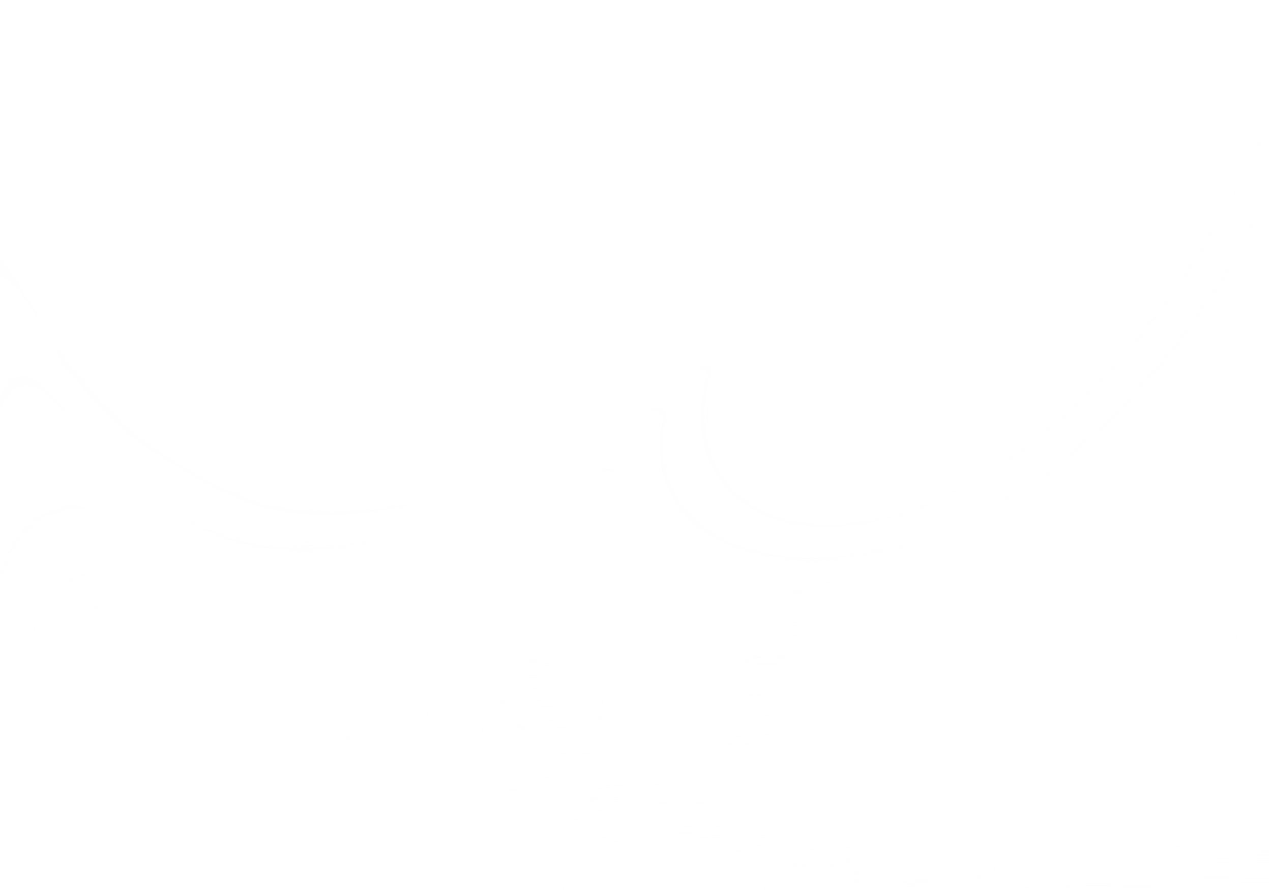 White Transparent Gradient Overlay